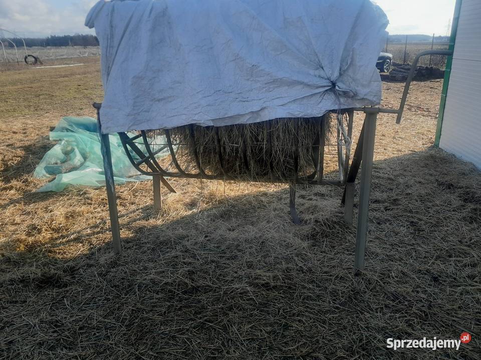 Pasnik owiec koz bydla