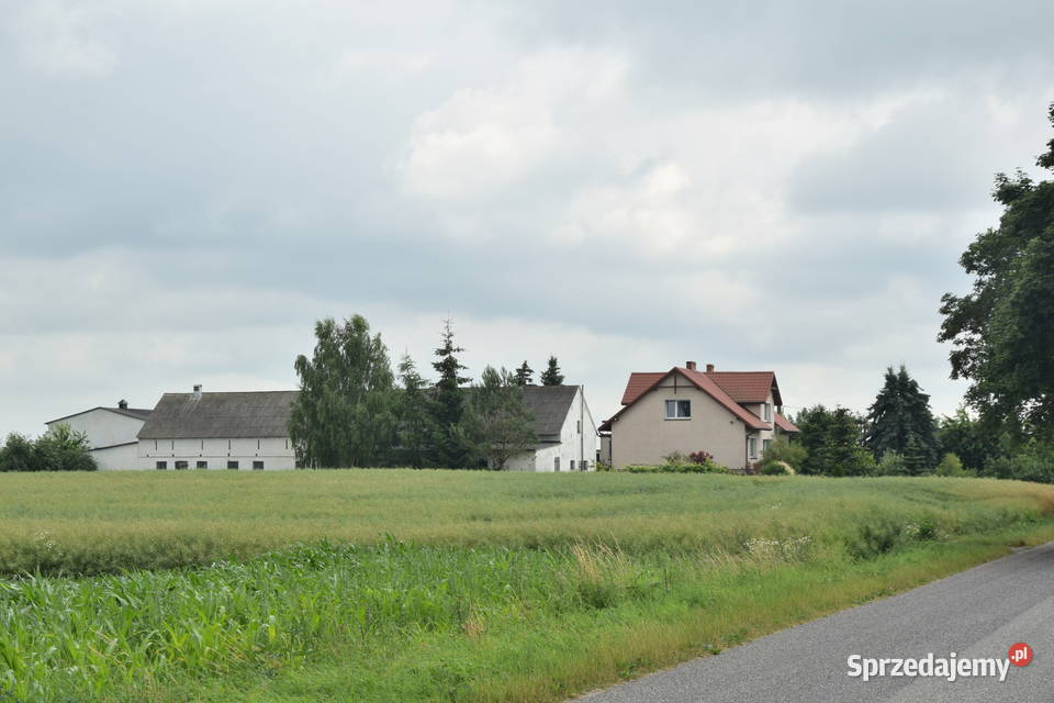 Sprzedam gospodarstwo rolne Nieruchomości Wymokłe
