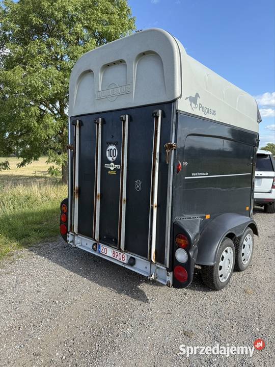 Humbaur pegasus 2400 do koni Solnica