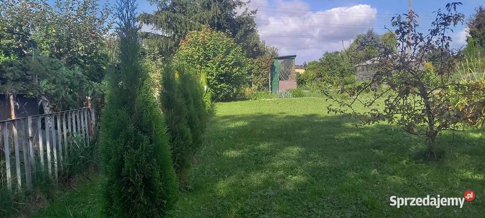 działka ogrodnicza na sprzedaż Tczew sprzedam