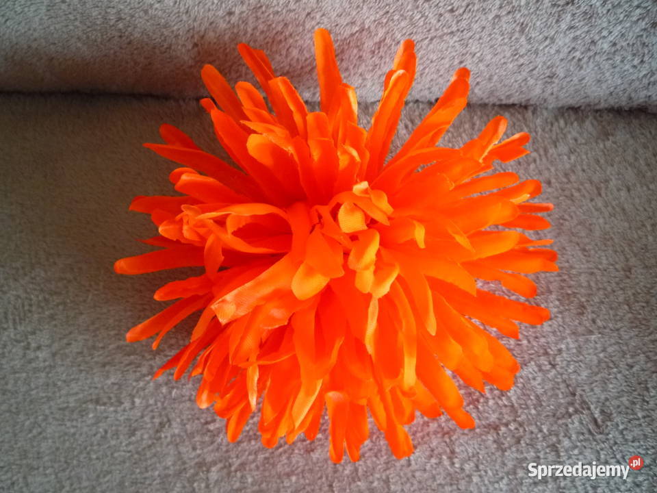 Duża 17 Astry Główka różowa żółta fioletowa Dekoracje i ozdoby Szczecin