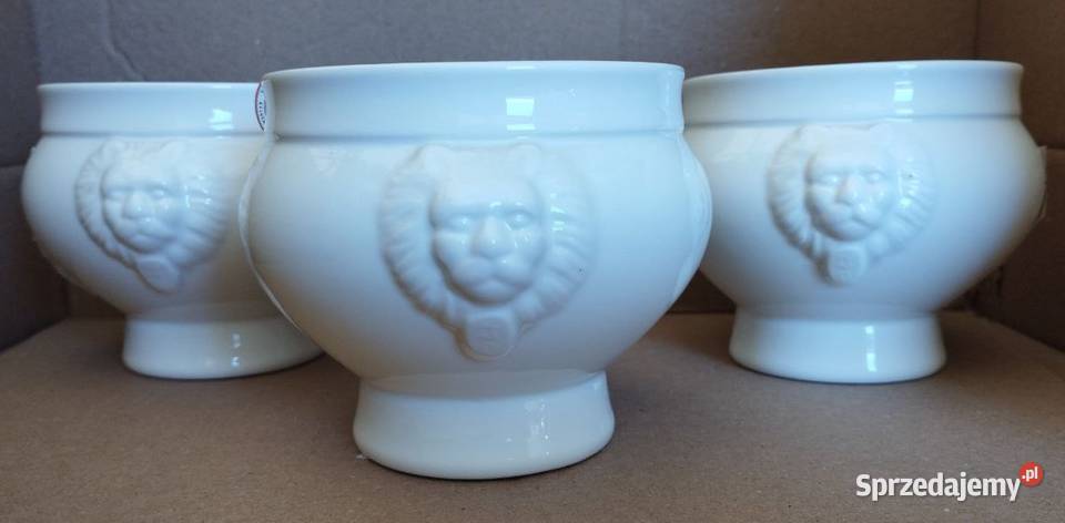 MIseczka Lionhead 05l Częstochowa