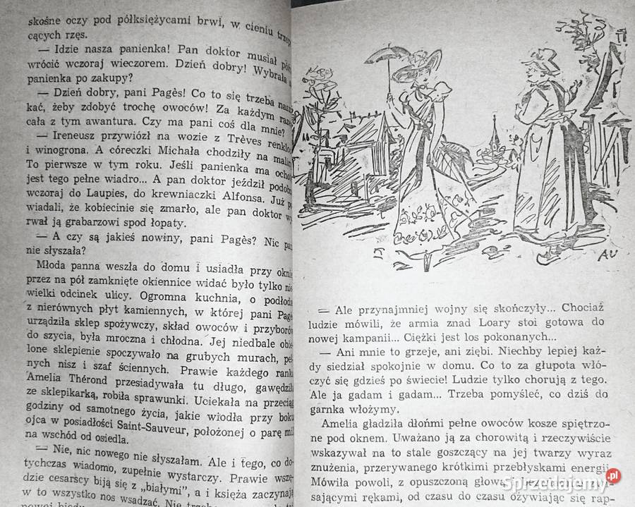 Oberża przepaścią Andre Chamson Rok wydania 1977 Chełm