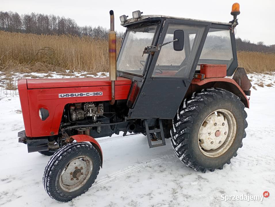 Ursus c3604011 Ursus kujawsko-pomorskie Koneck