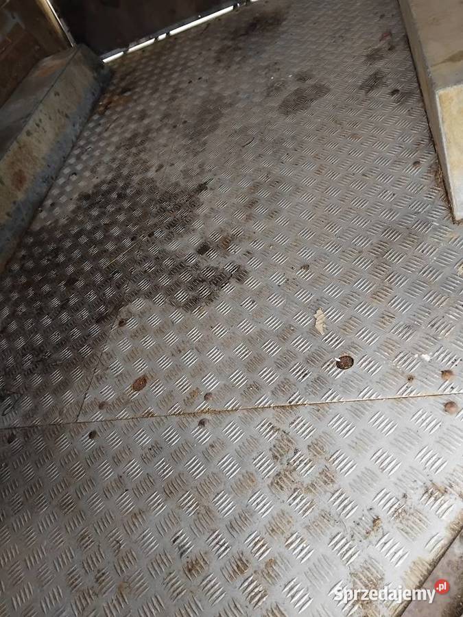 przyczepa Brenderup Myszków