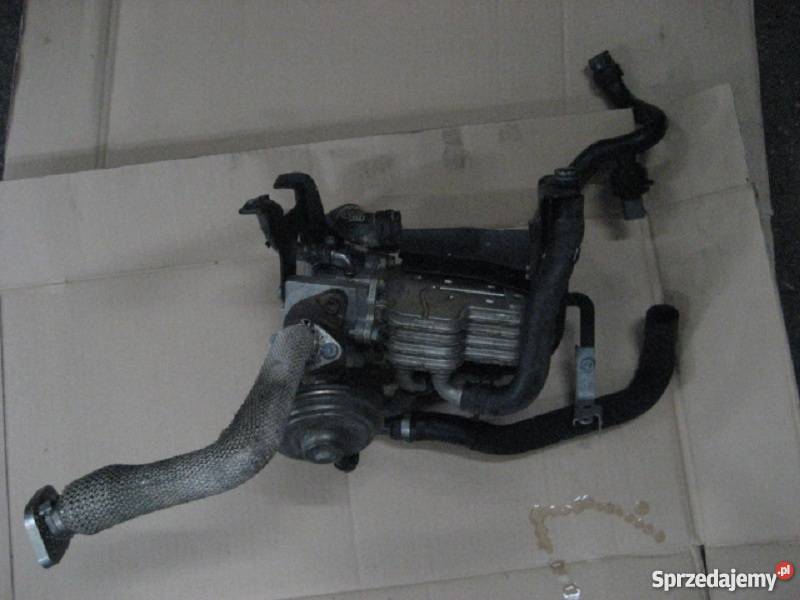 Chłodnica EGR Audi A6 C6 A4 B8 27 30 TDI ASB Części Kalisz