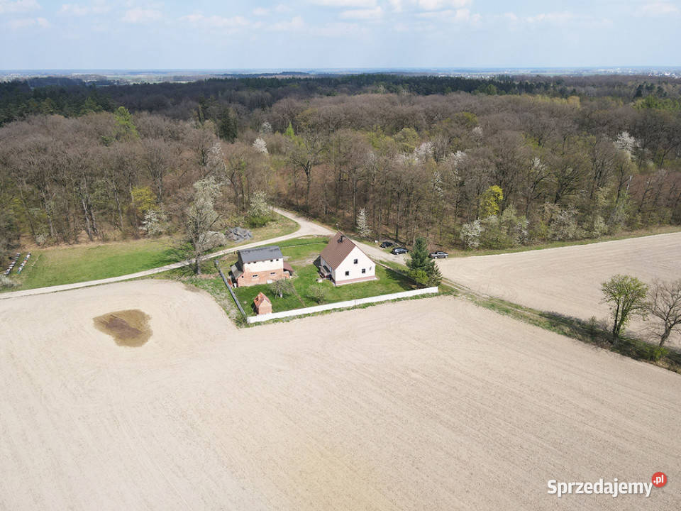 Dom wolnostojący leśniczówka Przydroże Małe 134m2