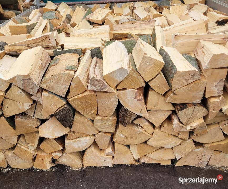 Drewno DĄB BUK Olkusz