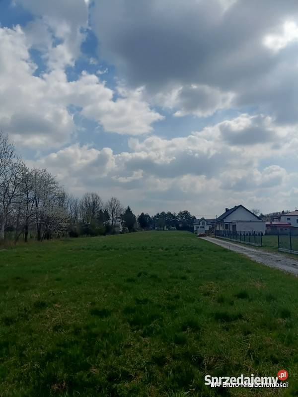 DWIE SŁONECZNE DZIAŁKI W PUSTYNACH Krosno