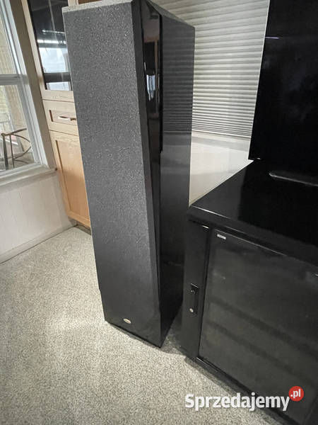 Legacy Audio Focus SE Floorstanding Speakers lubuskie Torzym sprzedam