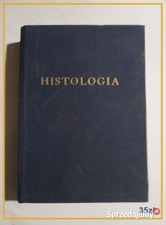 Choroby krwi i narządów krwiotwórczych Łódź