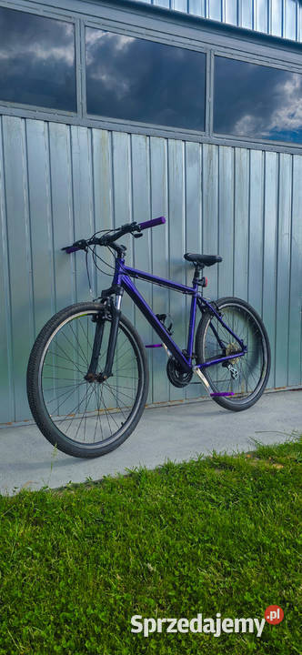 Rower crossowy Kross rama 21 kolo 29 Rowery i akcesoria lubelskie Puławy