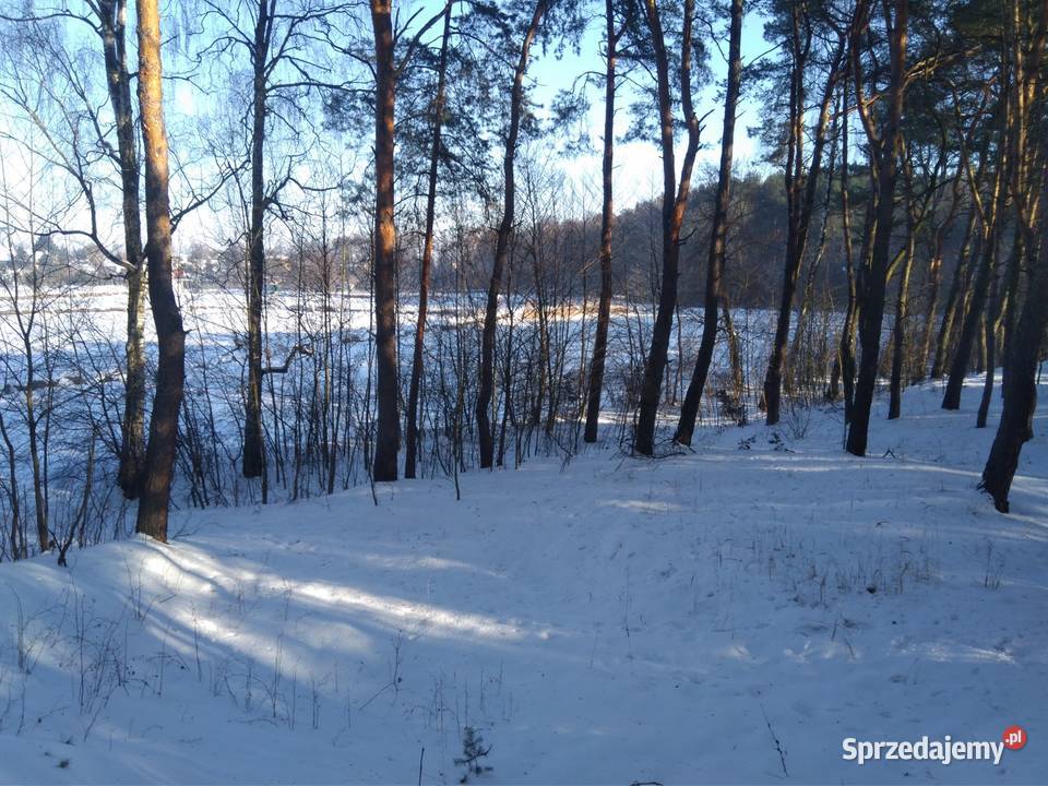 Stawy hodowlane rybne las działka 542 ha Działka sprzedam