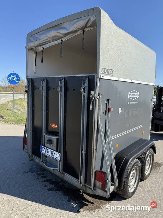 Boeckman 2006 r alupodloga koni Solnica sprzedam