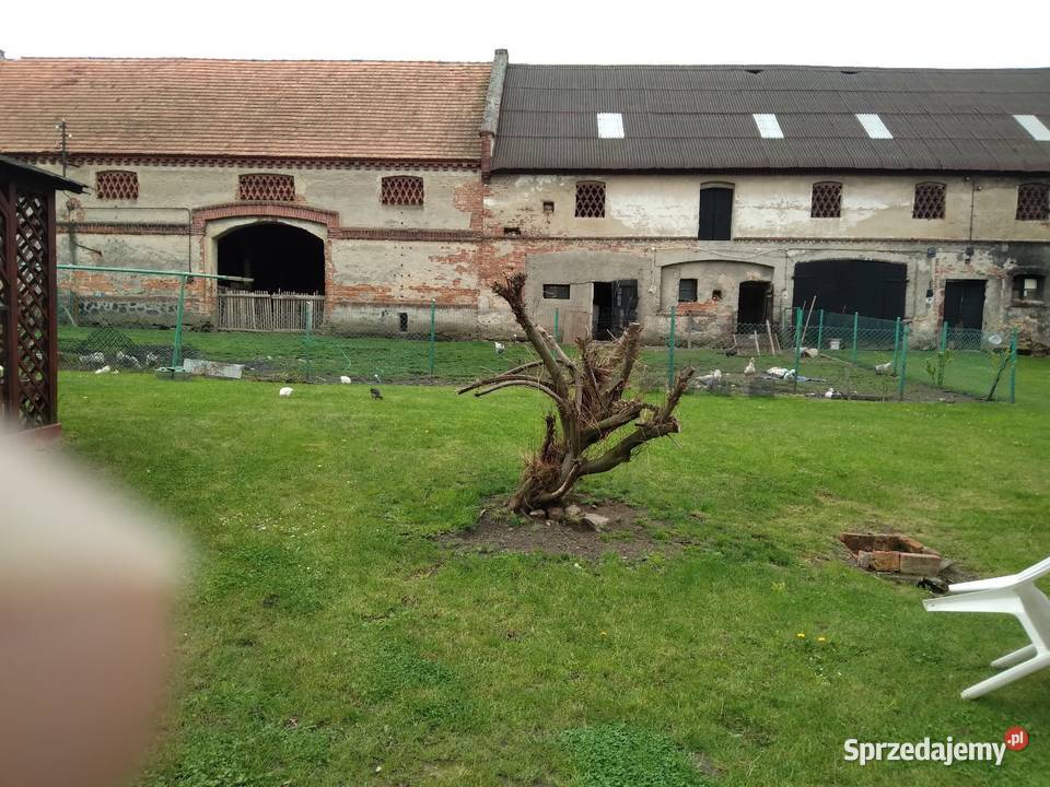 Na sprzedaż piwnica sprzedam