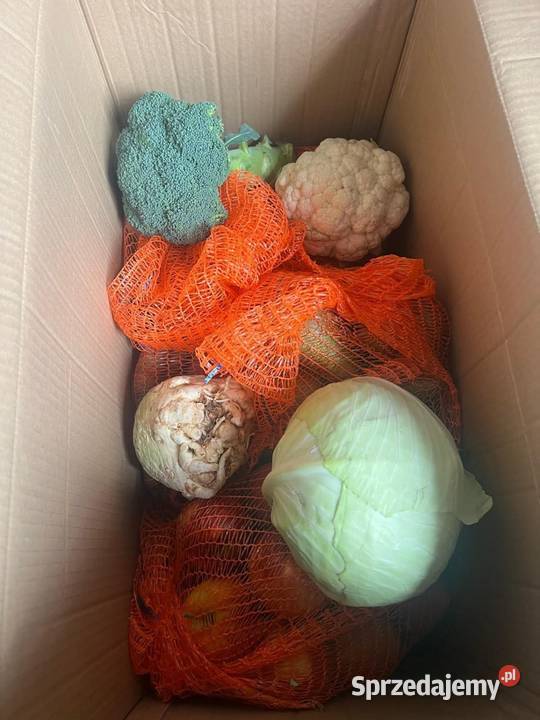 Mix box warzyw Warzywa