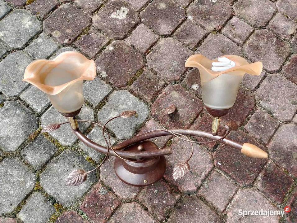 sprzedam lamy Przedmieście Czudeckie sprzedam