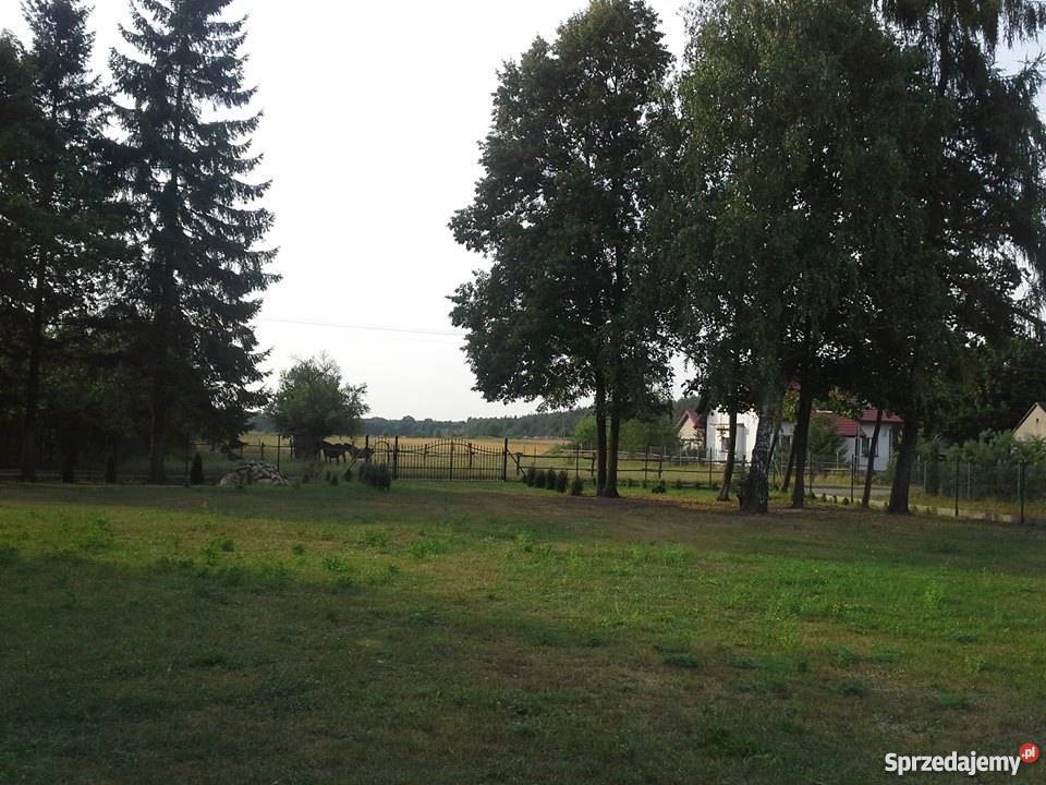 Sprzedam Działkę Grunty i działki Tkaczewska Góra sprzedam