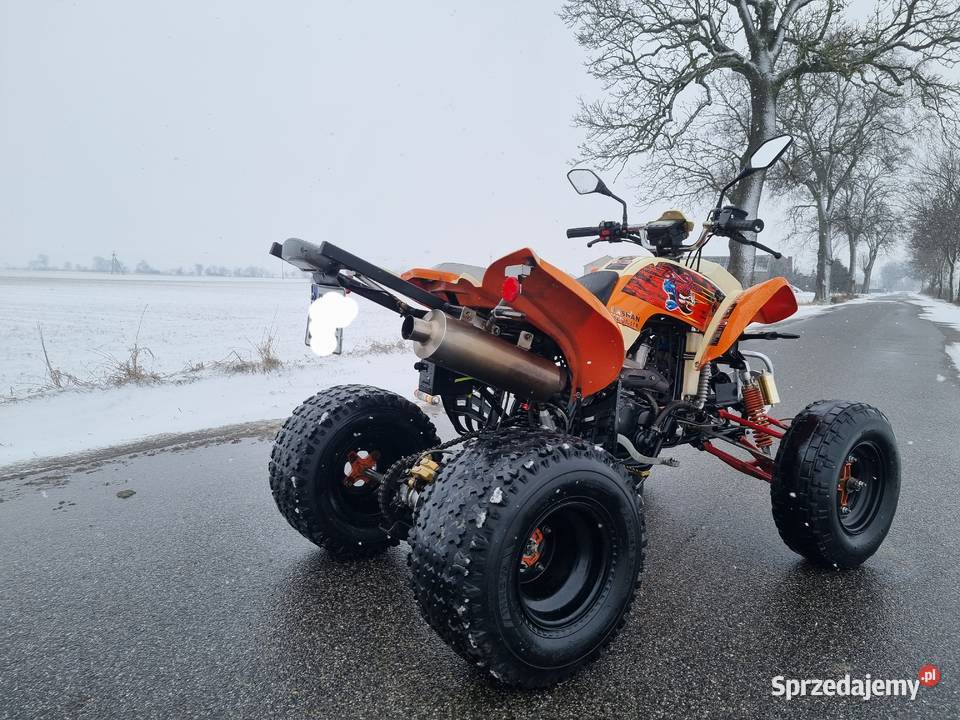 Quad Bashan EGL 250cc Zarejestrowany Kat B Ciecz Kruszwica
