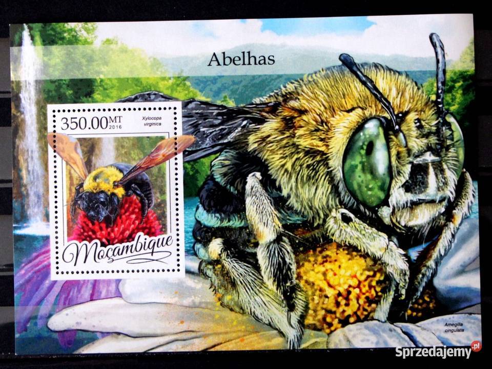 Mozambik blok pszczoły Oborniki