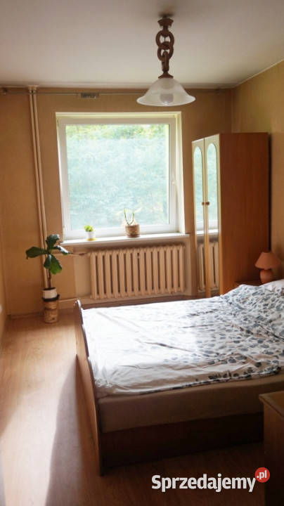 Funkcjonale 3 pokoje rodziny z dziećmi osób Chodzież