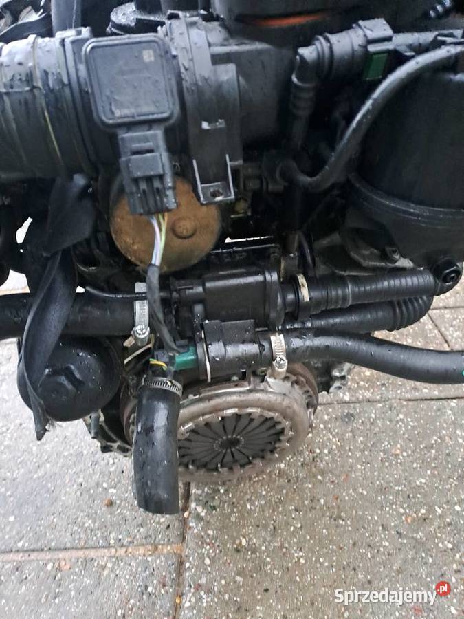 Citroen C3 14 HDi 68 silnik kompletny kod 8HZ Jastrzębie-Zdrój sprzedam