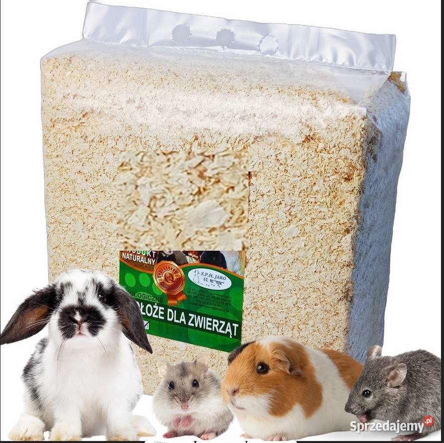 trociny sianko ŚWINKI morskiej karma Szczecin