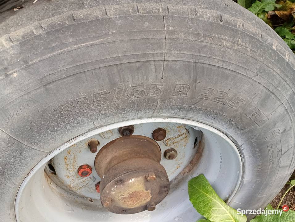 Przyczepa wywrotka jednoosiowa Sejny