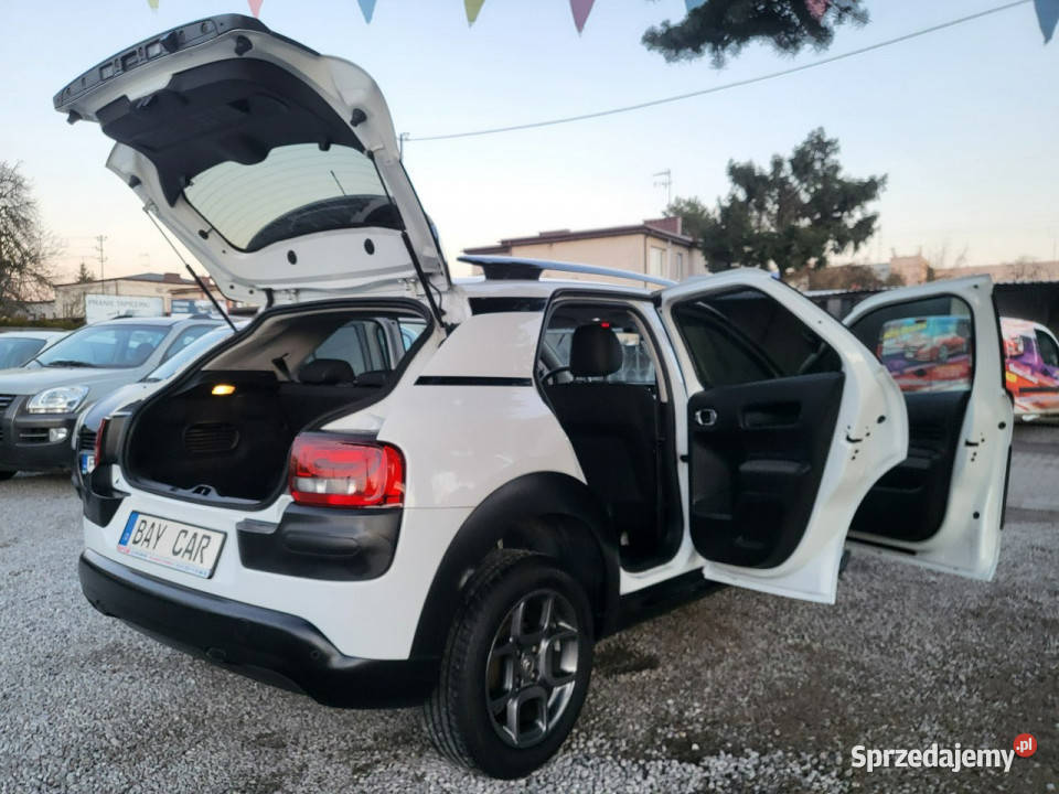 Citroen C4 Cactus 16 100 100 Oryginał 100 łódzkie Pabianice