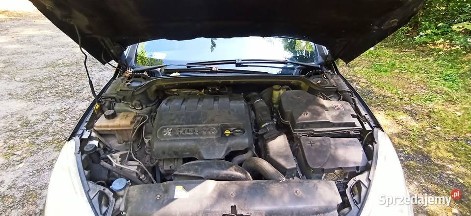 Peugeot 407 SW 20 HDi Klima Dach Panorama manualna 407 Zabrze sprzedam
