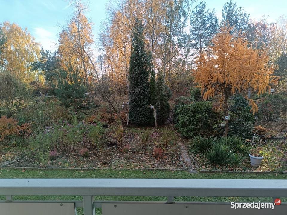 Rewelacja parter Sikorskiego niski blokodrębna Żory