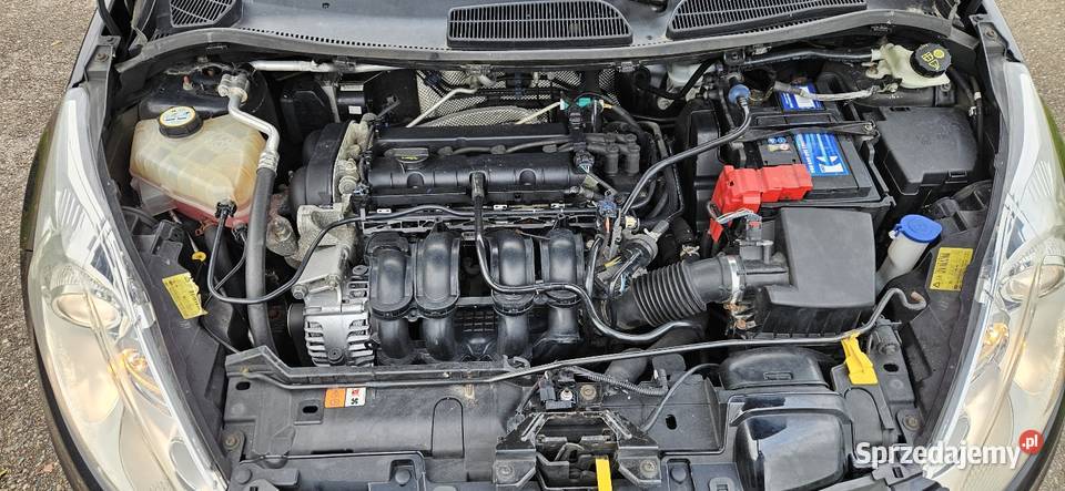 Ford Fiest 16i ST pakiet Sprowadzona benzyna warmińsko-mazurskie Żabi Róg