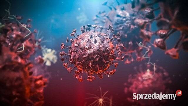 Ozonowanie Dezynfekcja hotele mieszkania