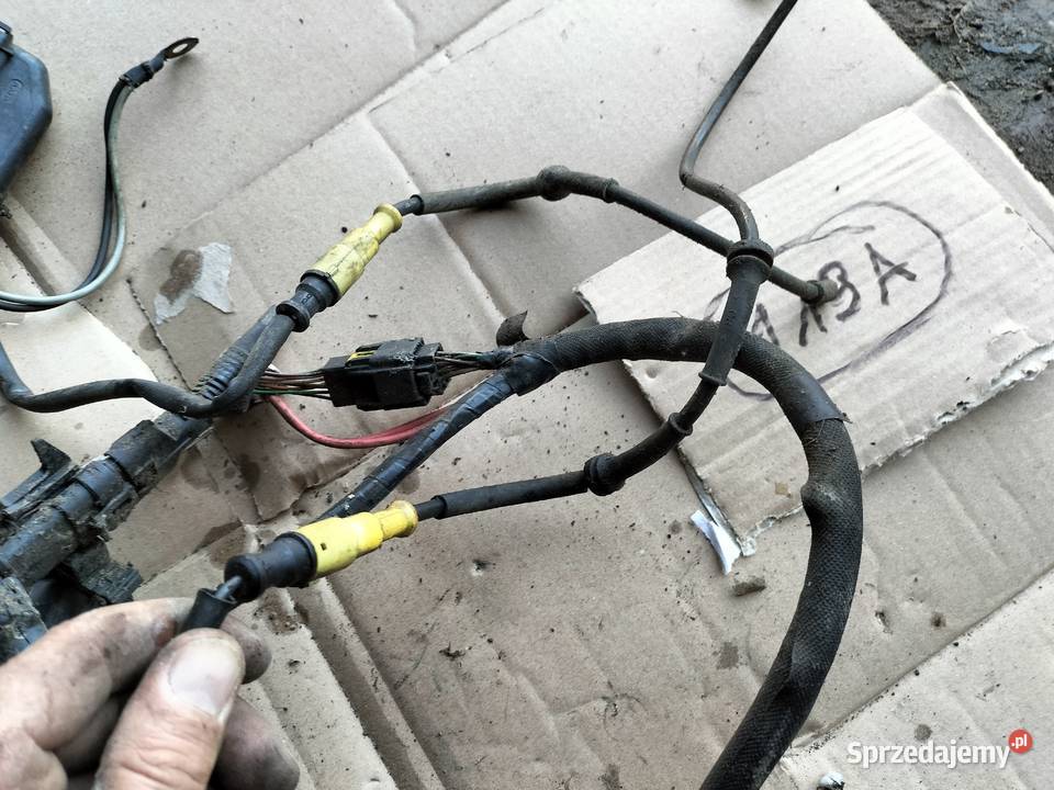 CLIO 2 WTYCZKA WSÓWKA KOSTKA WIĄZKA INSTALACJA lubelskie Kamień-Kolonia
