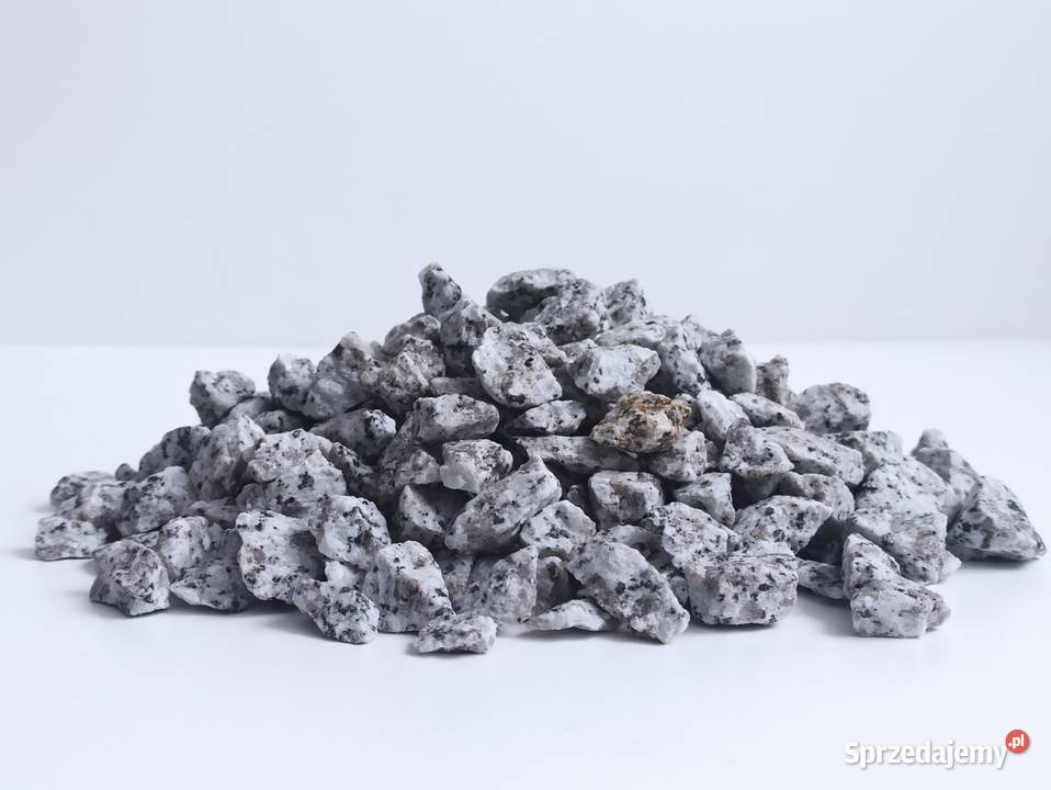 Grys Granitowy szary 816 mm Dalmatyńczyk Granit mazowieckie Warszawa