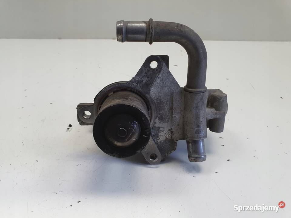 Renault Scenic III 15 DCI ZAWÓR EGR 8200846454C Rudka