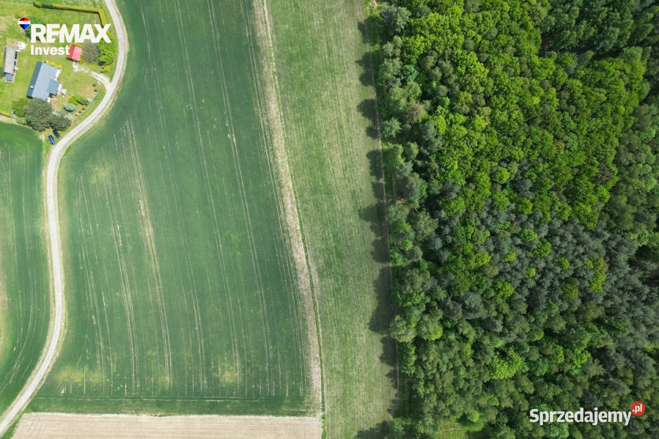 Piękna działka Kiczyce 1090 m 1090m2 sprzedam