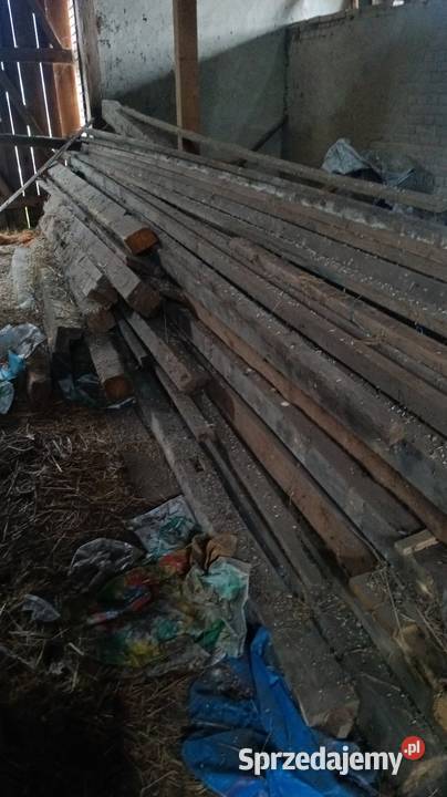 100 letnia wierzba dachowa