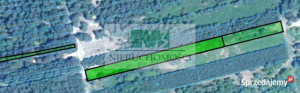DO SPRZEDAŻY DZIAŁKI LEŚNOROLNE BRZÓZA KROLEWSKA