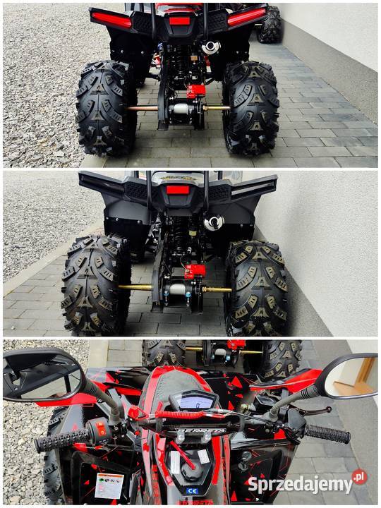 Quad 125cc Berreta Bulldog Gwarancja Nowy ATV Bieliny