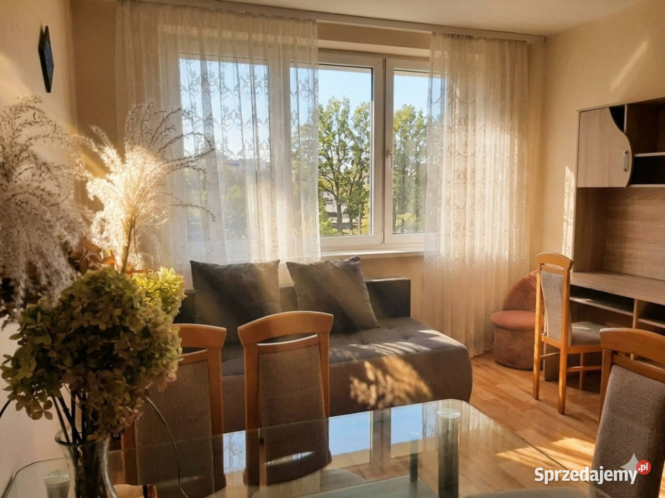 Wynajmę mieszkanie dwupokojowe do zamieszkania balkon Wynajem Wodzisław Śląski