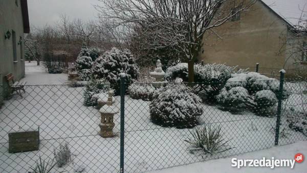 SPRZEDAM DOM siatka dolnośląskie Grodziszcze