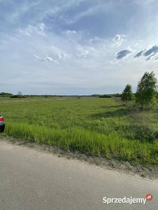 Działka rola Kotowa Wola 2668m2