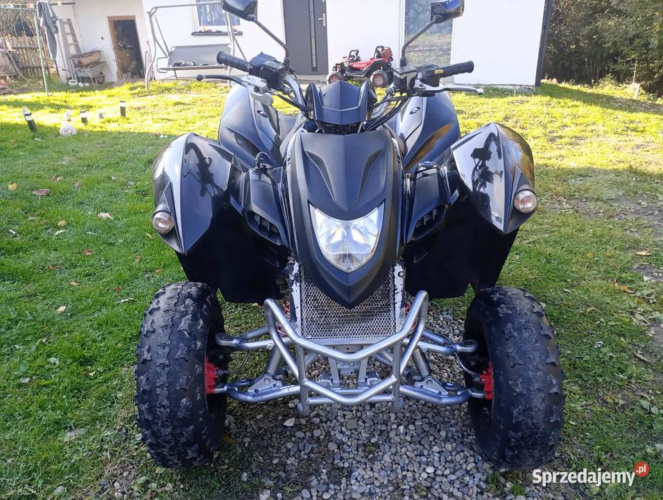 Quad 300 300cm3