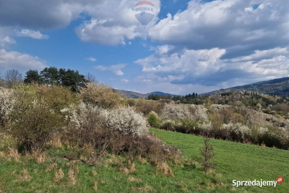 Działka z pięknym widokiem asfalt Wieprz sprzedam