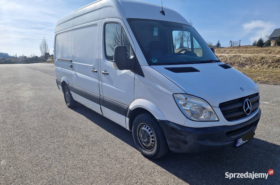 Mercedes Sprinter 98KM Mercedes-Benz Straszydle