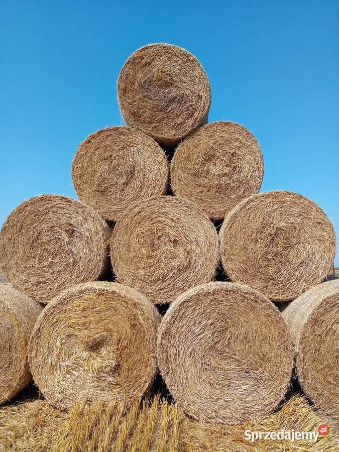 Słoma pszena 2025 śląskie