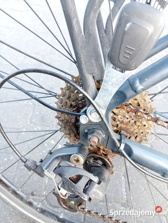 Rower Elops long distance 500 rama L pomorskie Gdynia