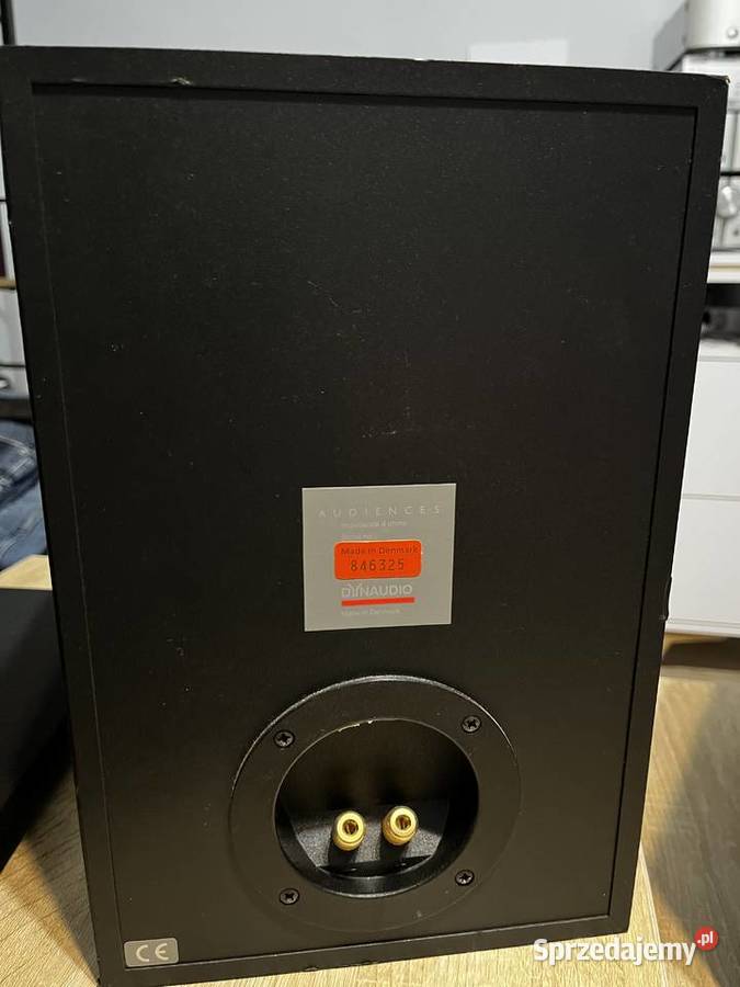 Dynaudio Audience 5 Znakomite duńskie monitory Opole