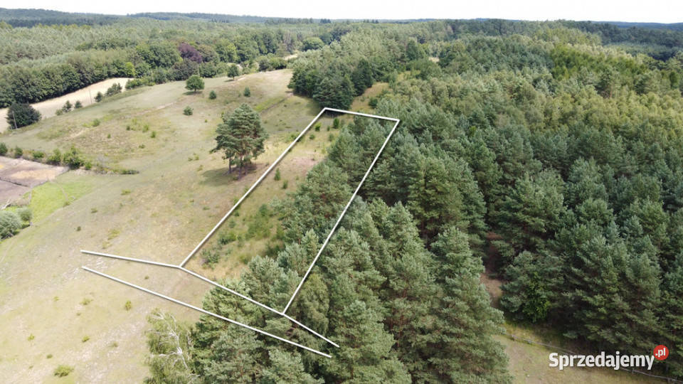 Działka rolna w Górzyskach rolna Górzyska